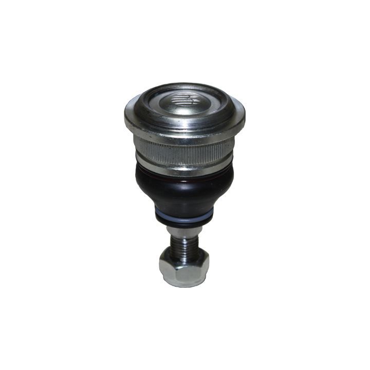 Šarnyras / girgždukas BIRTH CX0120