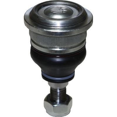 Šarnyras / girgždukas BIRTH CX0120