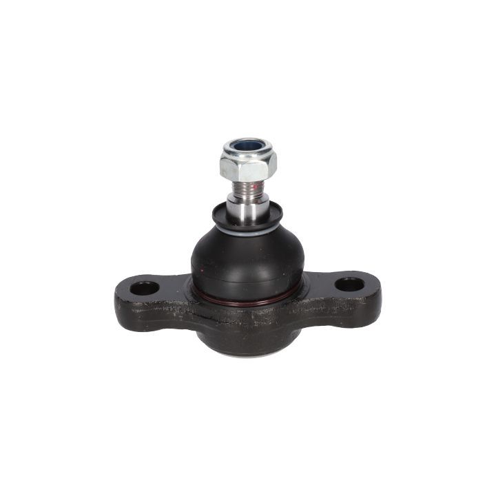 Šarnyras / girgždukas BIRTH CX0125