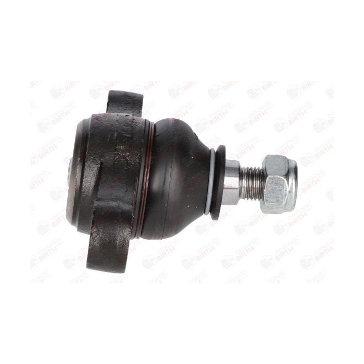 Šarnyras / girgždukas BIRTH CX0125