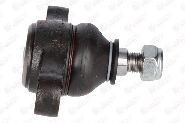 Šarnyras / girgždukas BIRTH CX0125