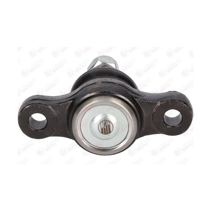 Šarnyras / girgždukas BIRTH CX0125