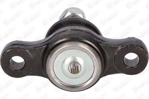 Šarnyras / girgždukas BIRTH CX0125