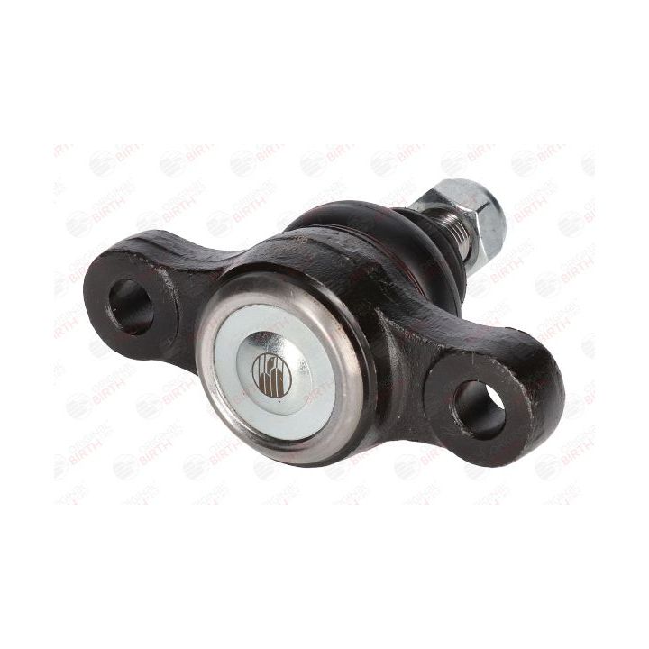 Šarnyras / girgždukas BIRTH CX0125