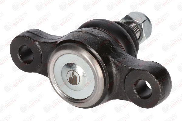 Šarnyras / girgždukas BIRTH CX0125