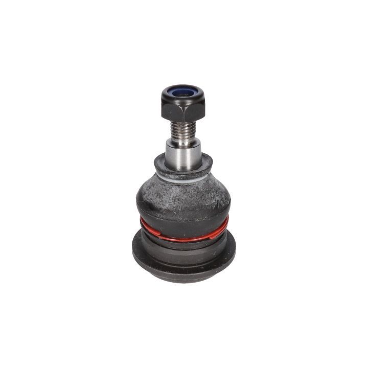 Šarnyras / girgždukas BIRTH CX0131