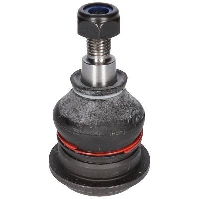 Šarnyras / girgždukas BIRTH CX0131