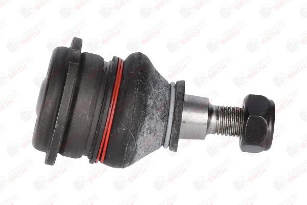 Šarnyras / girgždukas BIRTH CX0131