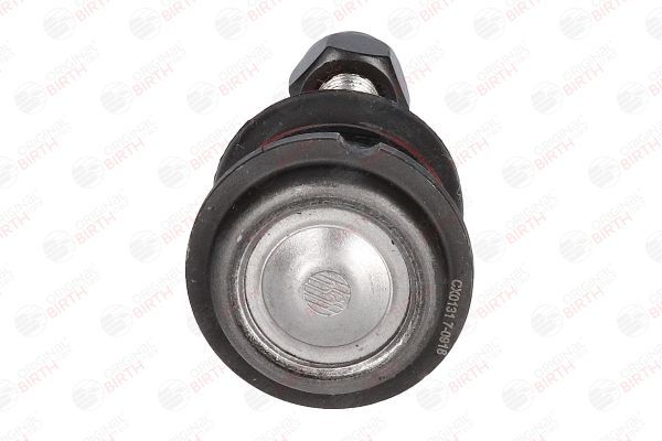 Šarnyras / girgždukas BIRTH CX0131