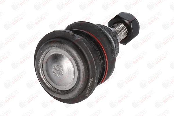 Šarnyras / girgždukas BIRTH CX0131