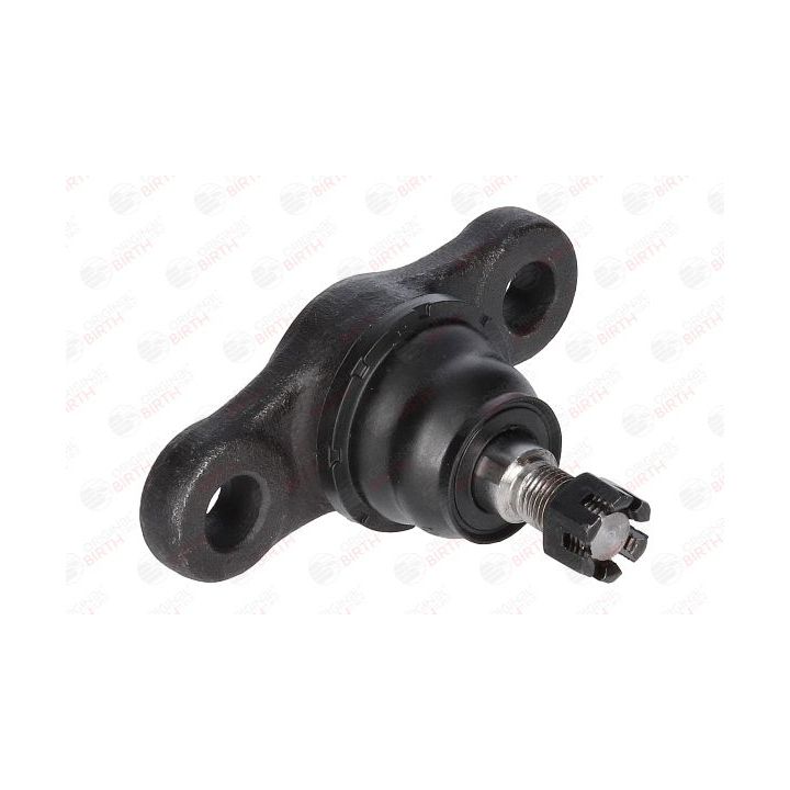 Šarnyras / girgždukas BIRTH CX0132