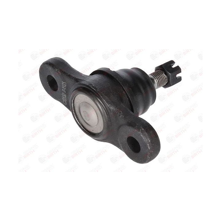 Šarnyras / girgždukas BIRTH CX0132