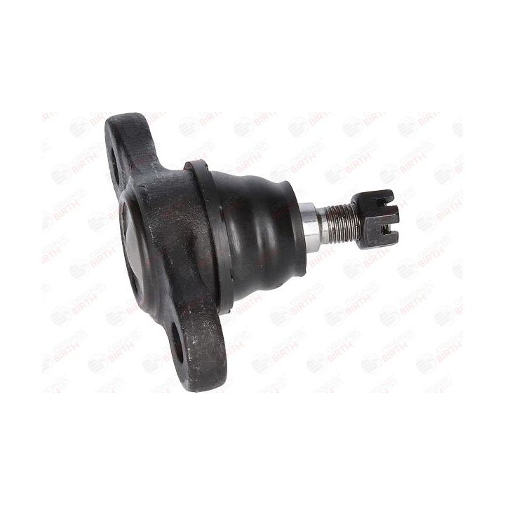 Šarnyras / girgždukas BIRTH CX0132