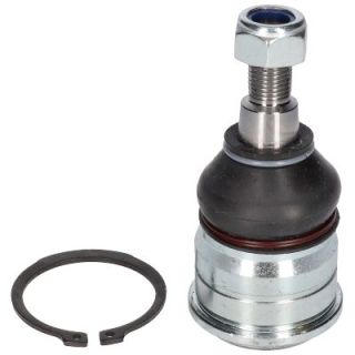 Šarnyras / girgždukas BIRTH CX0133