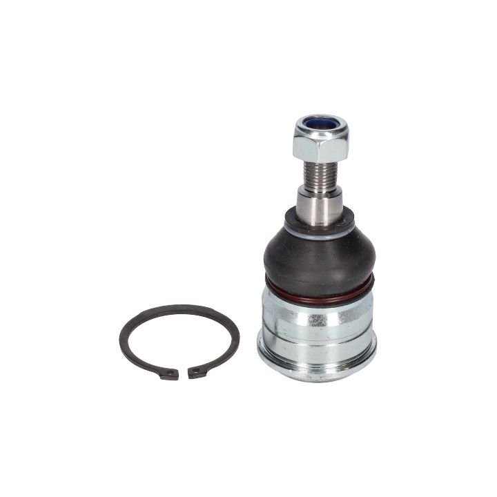 Šarnyras / girgždukas BIRTH CX0133