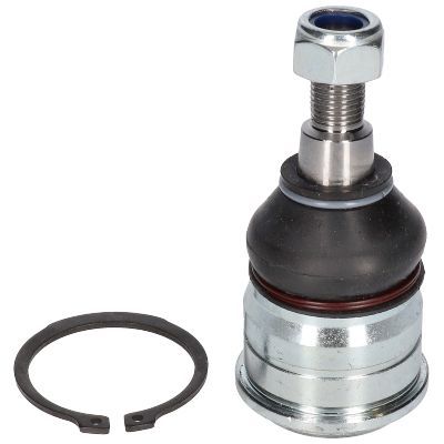 Šarnyras / girgždukas BIRTH CX0133