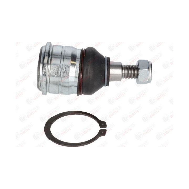 Šarnyras / girgždukas BIRTH CX0133