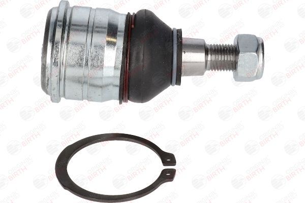 Šarnyras / girgždukas BIRTH CX0133