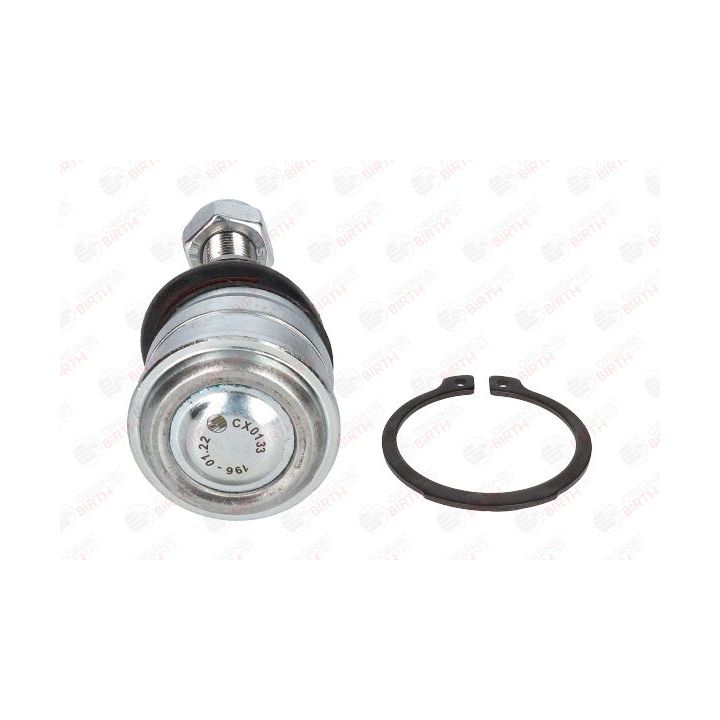 Šarnyras / girgždukas BIRTH CX0133