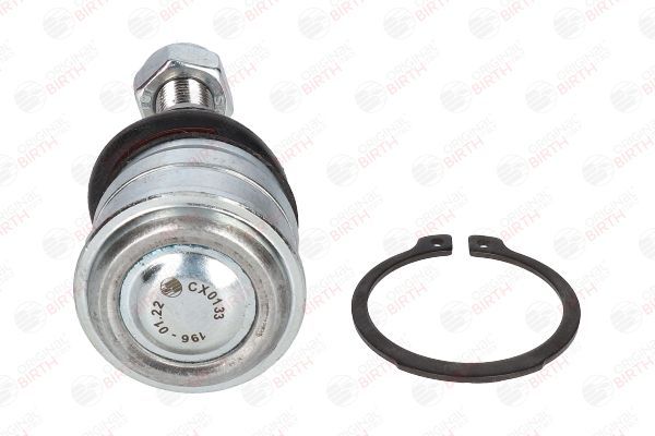 Šarnyras / girgždukas BIRTH CX0133