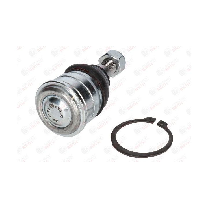 Šarnyras / girgždukas BIRTH CX0133