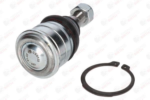 Šarnyras / girgždukas BIRTH CX0133