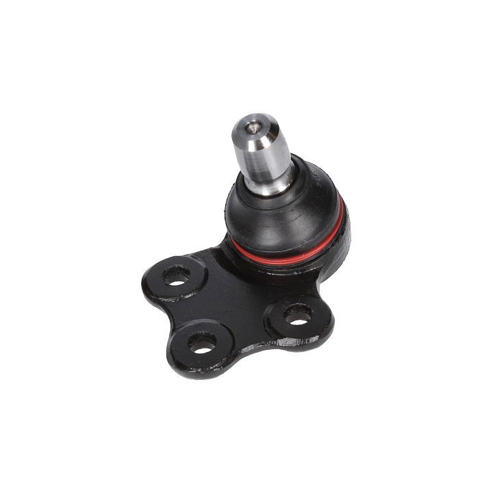 Šarnyras / girgždukas BIRTH CX0135