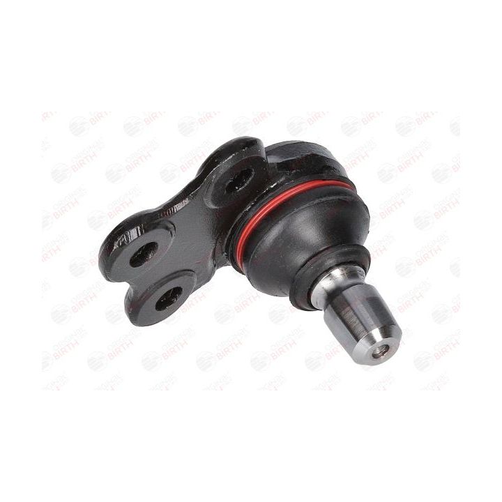 Šarnyras / girgždukas BIRTH CX0135