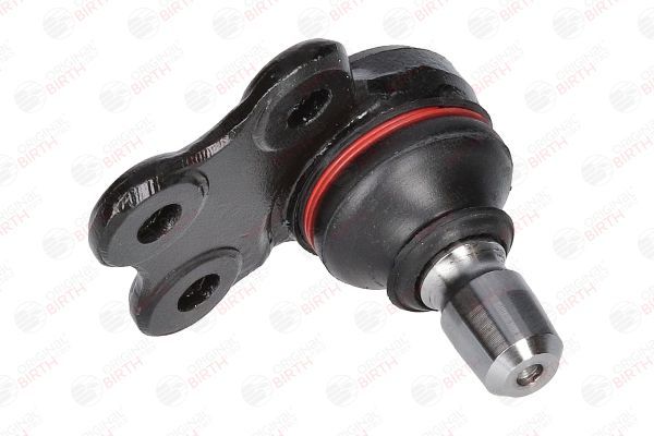 Šarnyras / girgždukas BIRTH CX0135