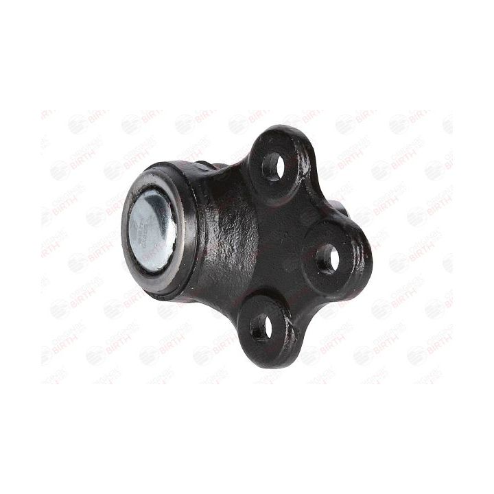 Šarnyras / girgždukas BIRTH CX0135