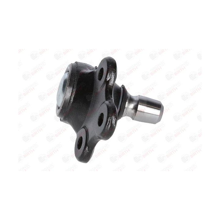 Šarnyras / girgždukas BIRTH CX0135