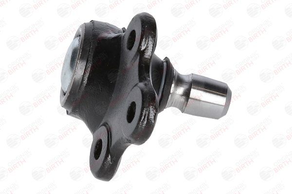 Šarnyras / girgždukas BIRTH CX0135