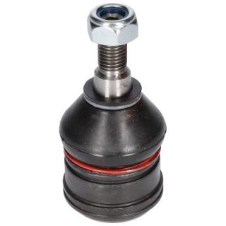 Šarnyras / girgždukas BIRTH CX0141