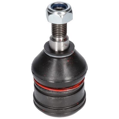 Šarnyras / girgždukas BIRTH CX0141