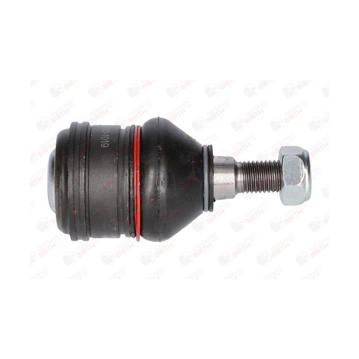 Šarnyras / girgždukas BIRTH CX0141