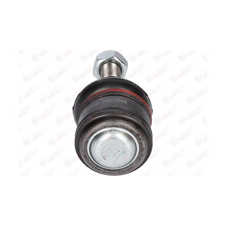 Šarnyras / girgždukas BIRTH CX0141