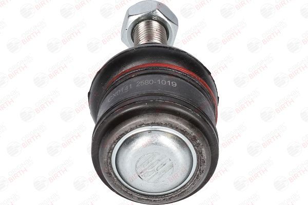 Šarnyras / girgždukas BIRTH CX0141