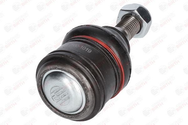 Šarnyras / girgždukas BIRTH CX0141