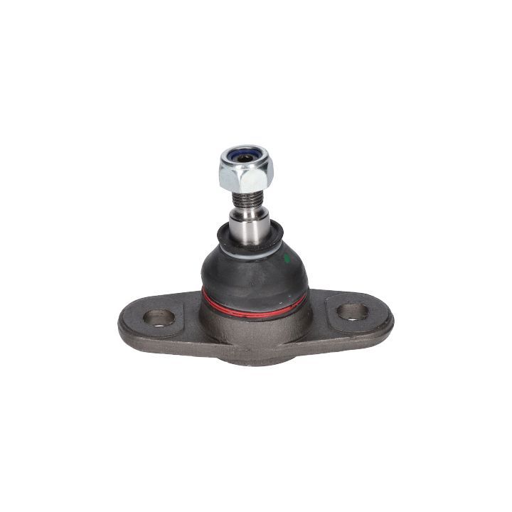 Šarnyras / girgždukas BIRTH CX0142