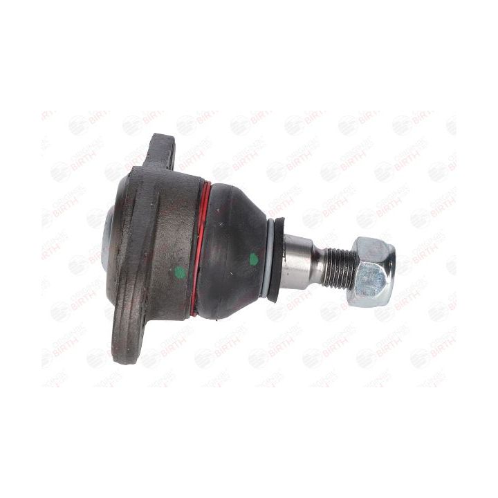 Šarnyras / girgždukas BIRTH CX0142