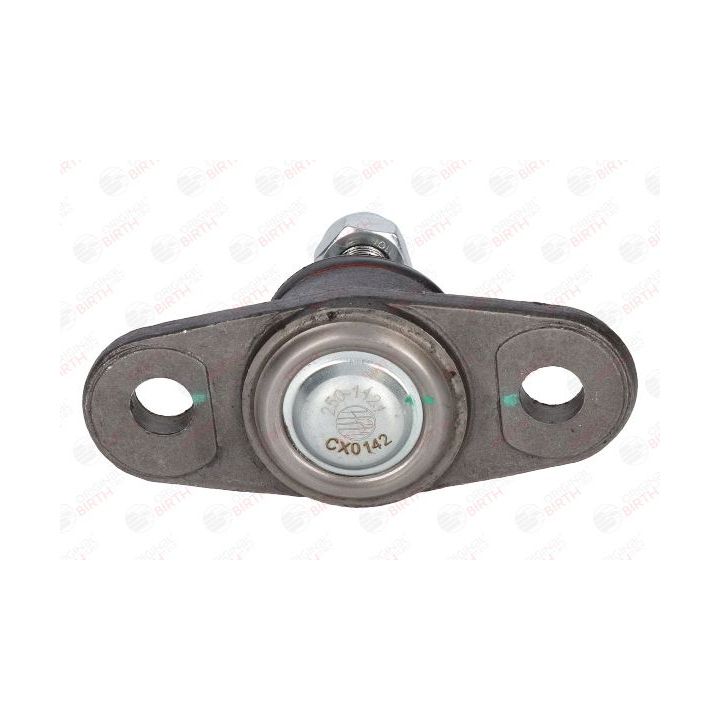 Šarnyras / girgždukas BIRTH CX0142