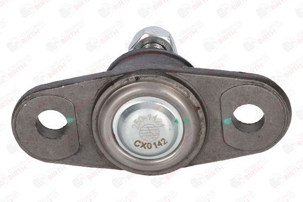 Šarnyras / girgždukas BIRTH CX0142