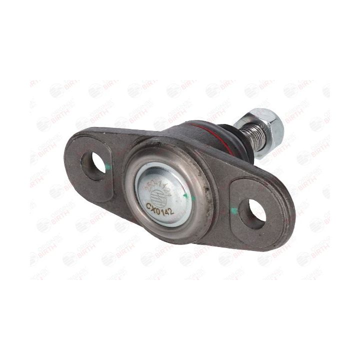 Šarnyras / girgždukas BIRTH CX0142