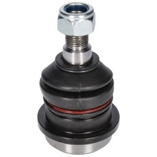 Šarnyras / girgždukas BIRTH CX0166