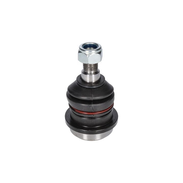 Šarnyras / girgždukas BIRTH CX0166