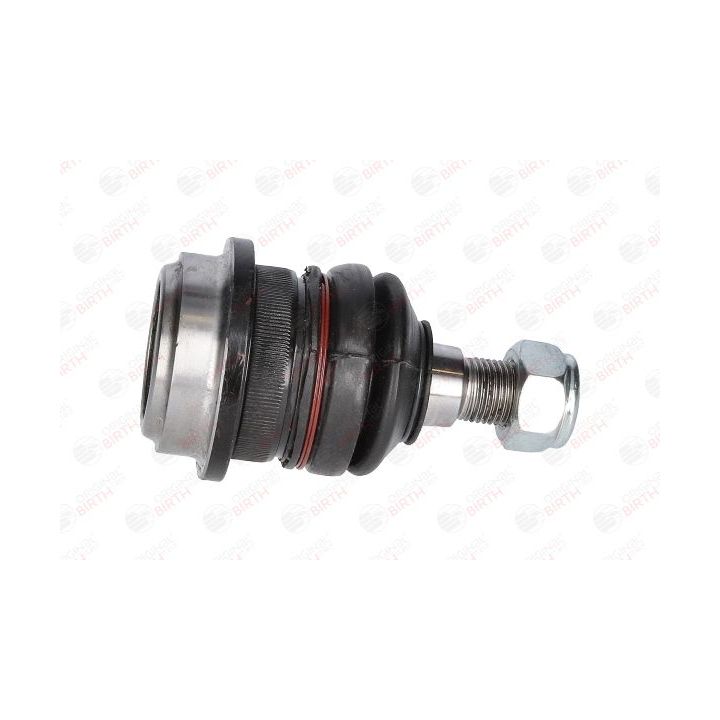 Šarnyras / girgždukas BIRTH CX0166