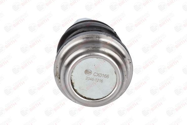 Šarnyras / girgždukas BIRTH CX0166