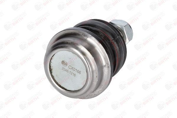 Šarnyras / girgždukas BIRTH CX0166