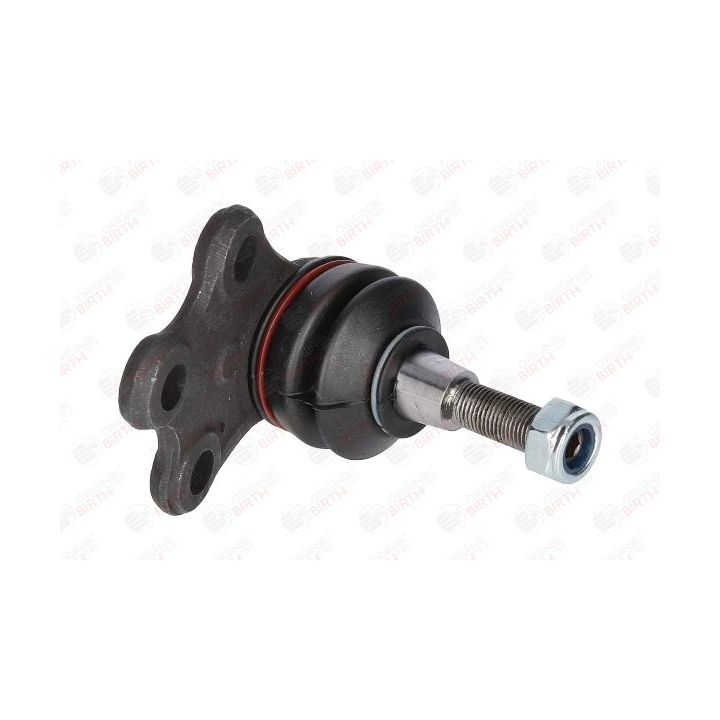 Šarnyras / girgždukas BIRTH CX0168