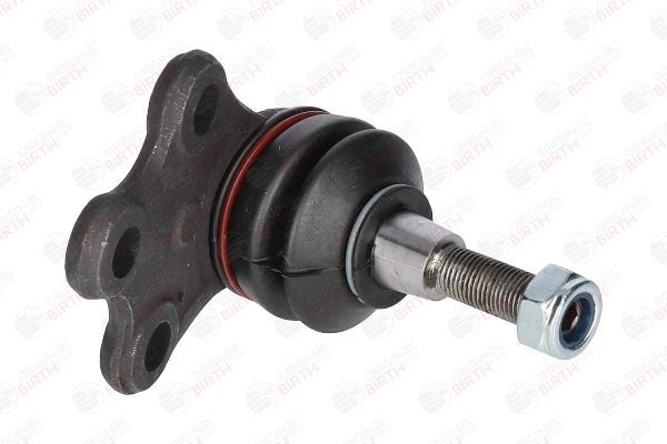 Šarnyras / girgždukas BIRTH CX0168